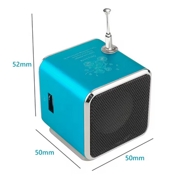 TD-V26 Mini Bluetooth Speaker with FM Radio MP3 Player LED Display and TF Card Support in Portable Design